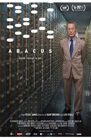 Abacus: Small Enough to Jail Steve James