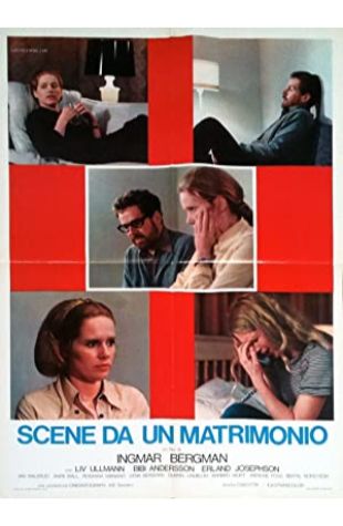 Scenes from a Marriage Liv Ullmann